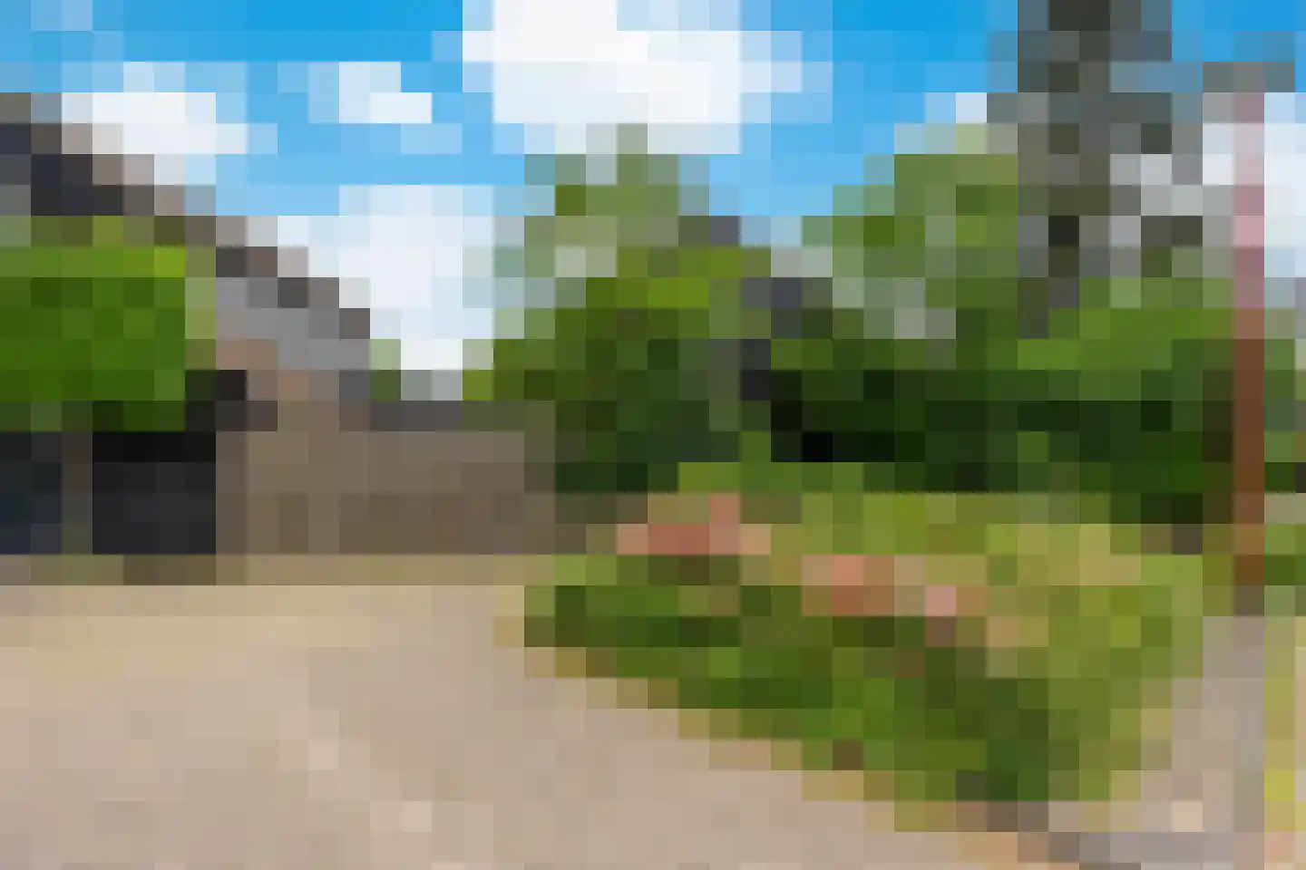 Houtduif 1 Nieuwegein thumbnail 22
