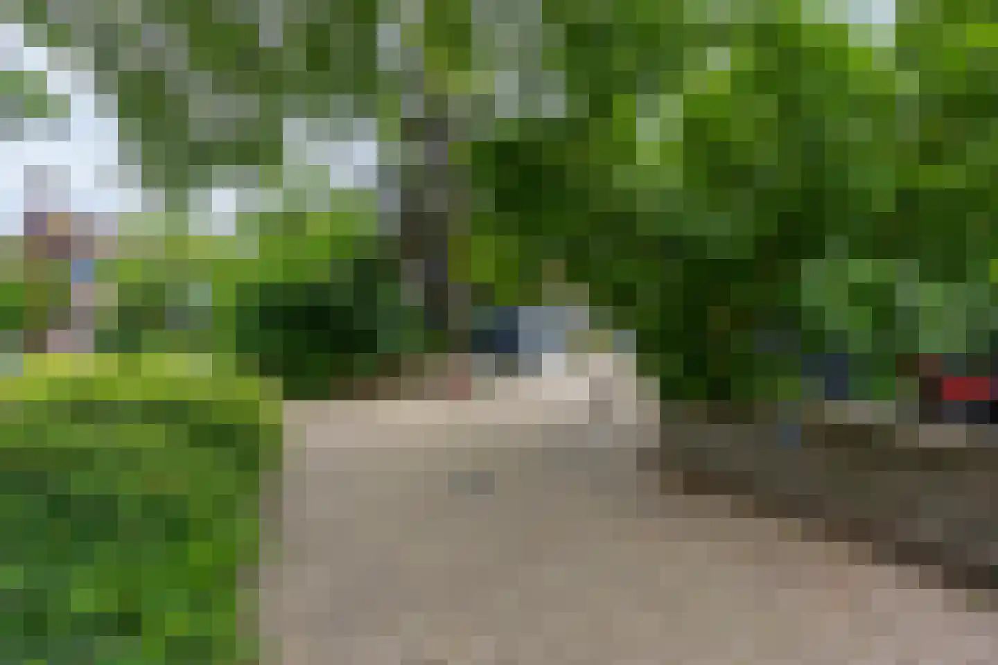 Houtduif 1 Nieuwegein thumbnail 23