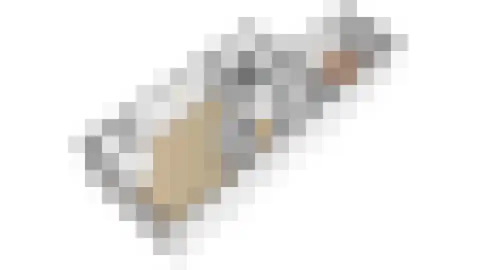 Houtduif 1 Nieuwegein thumbnail 26