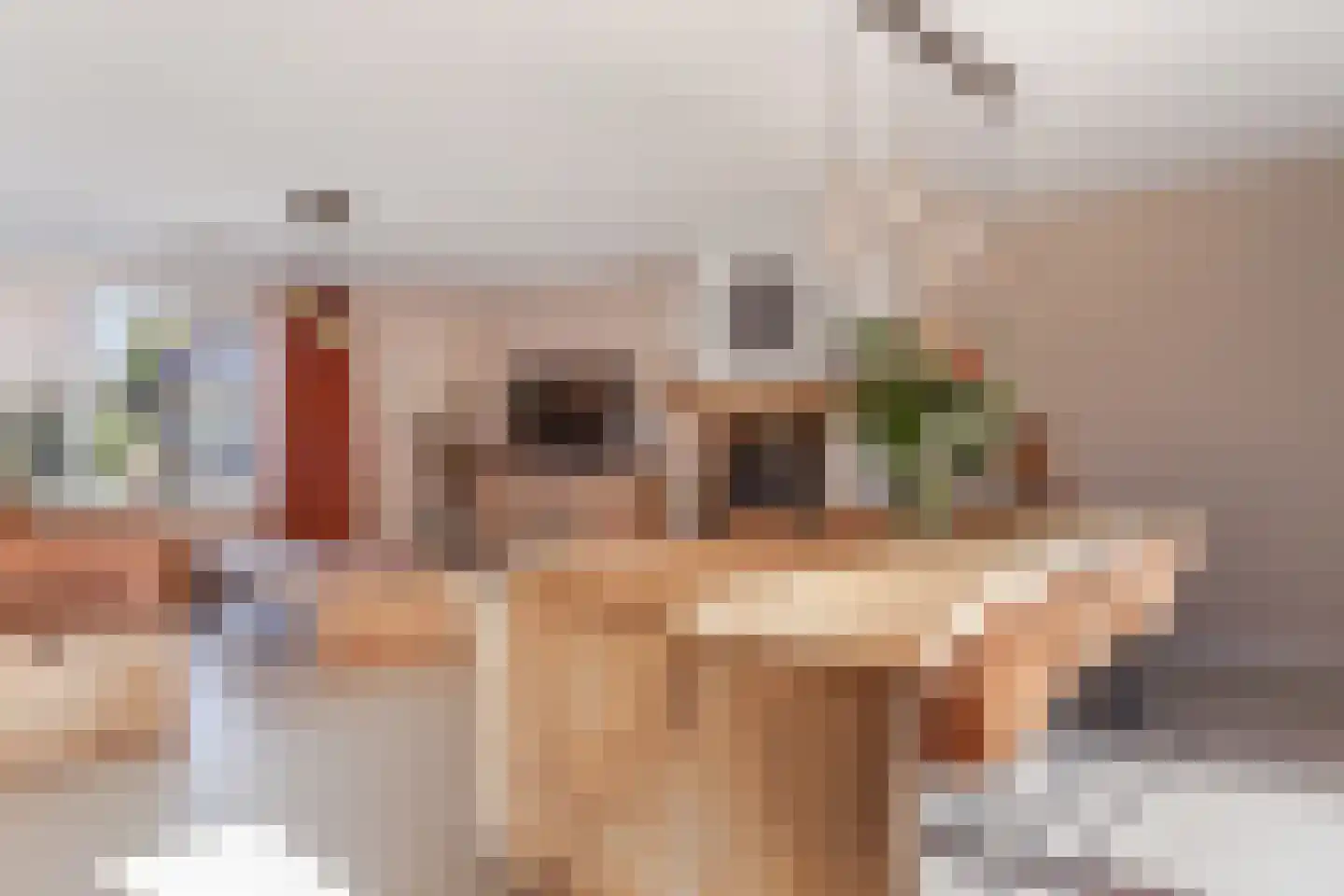 Houtduif 10 Blokker thumbnail 11