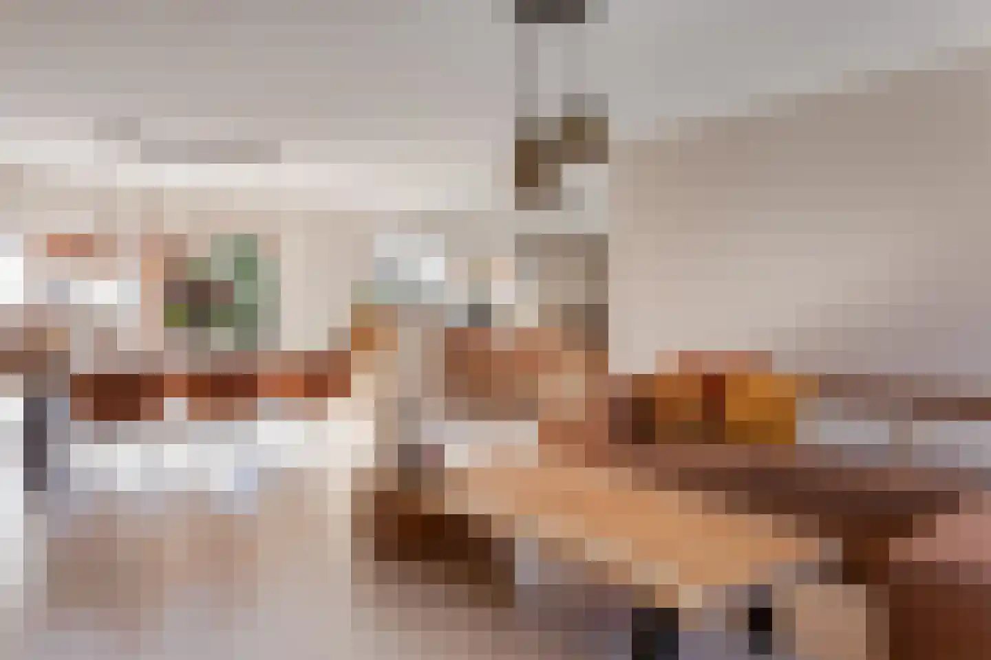 Houtduif 10 Blokker thumbnail 17