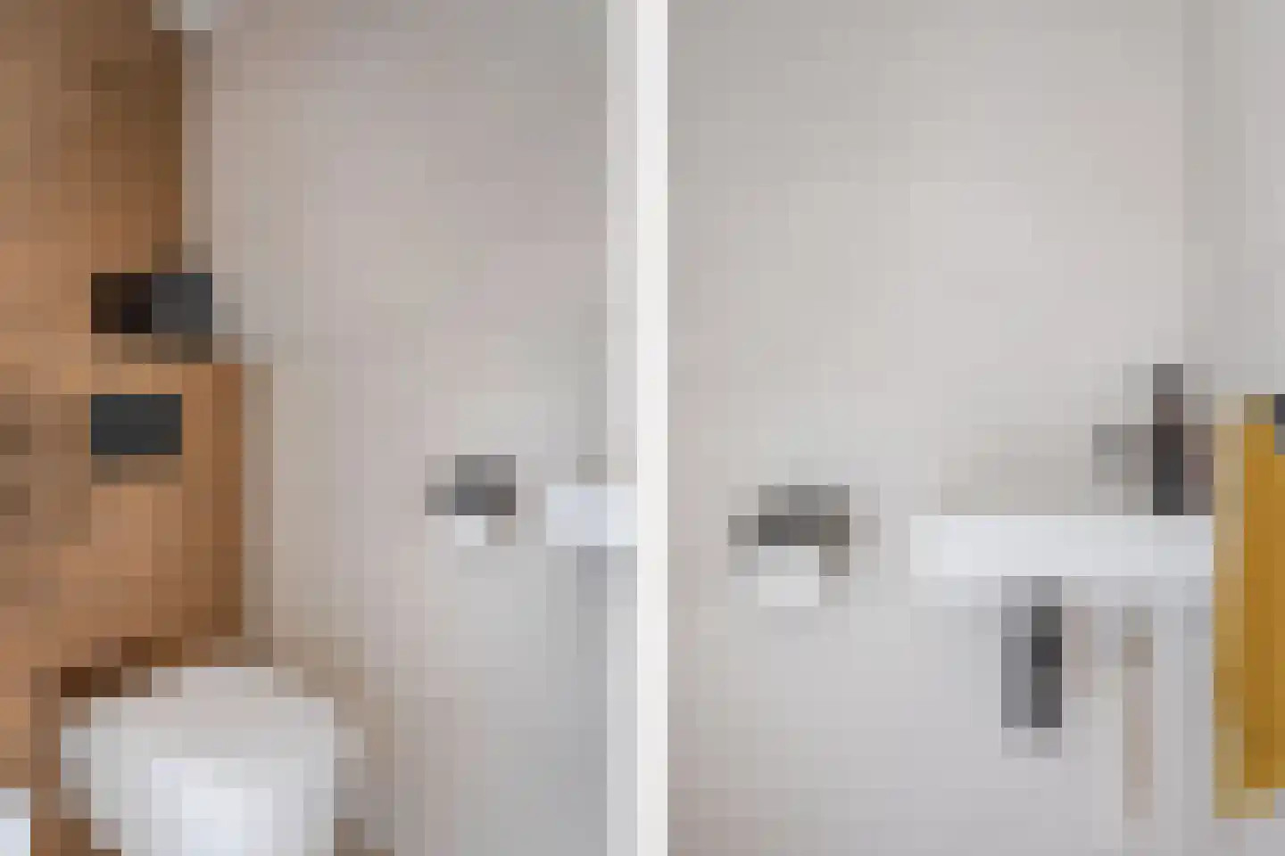 Houtduif 10 Blokker thumbnail 22