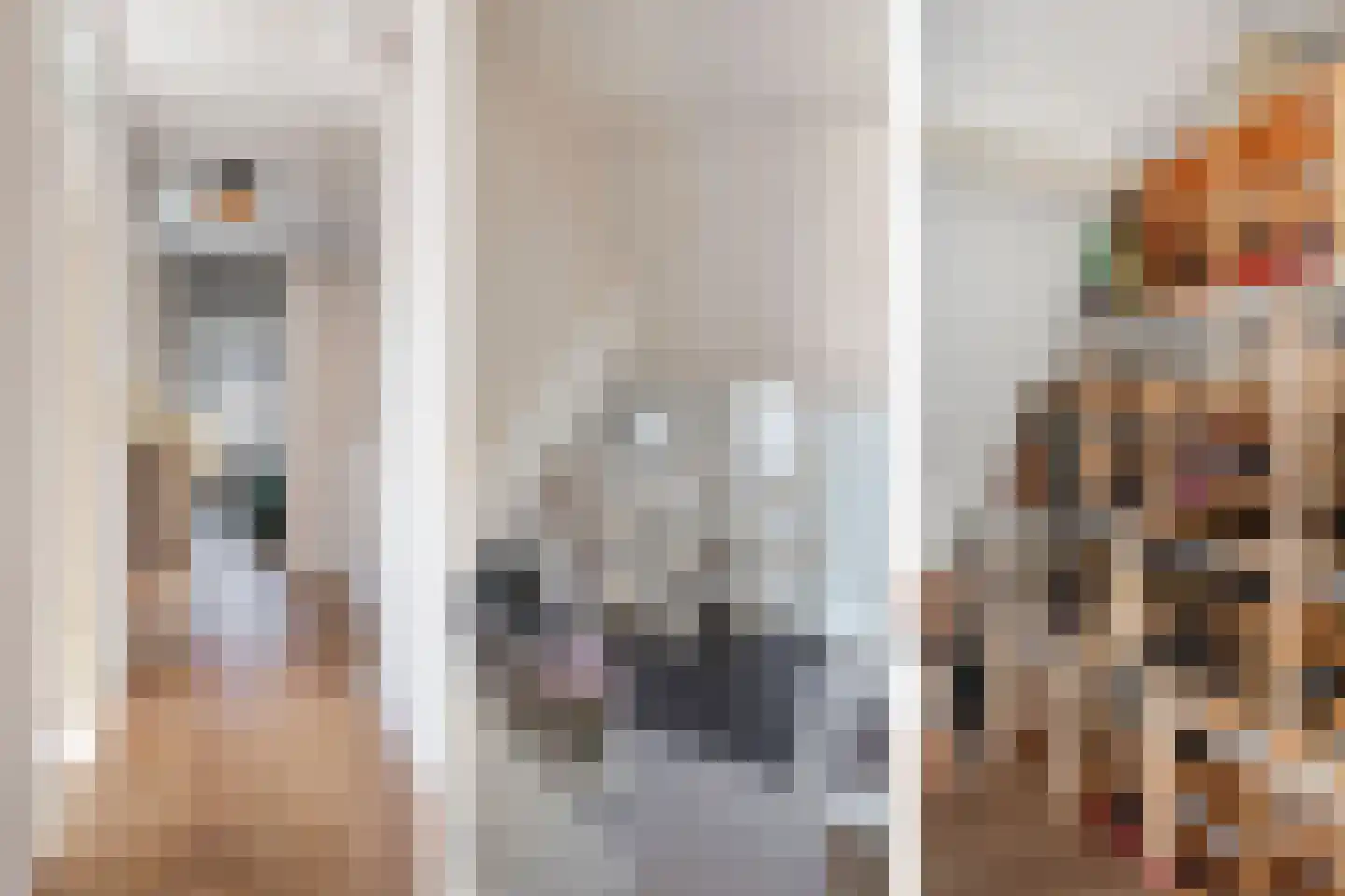 Houtduif 10 Blokker thumbnail 24