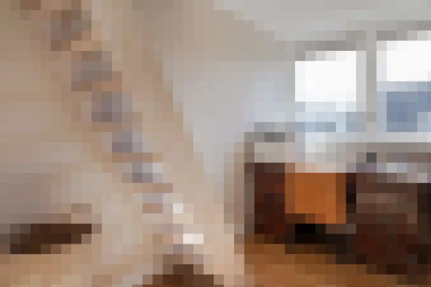Houtduif 10 Blokker thumbnail 35