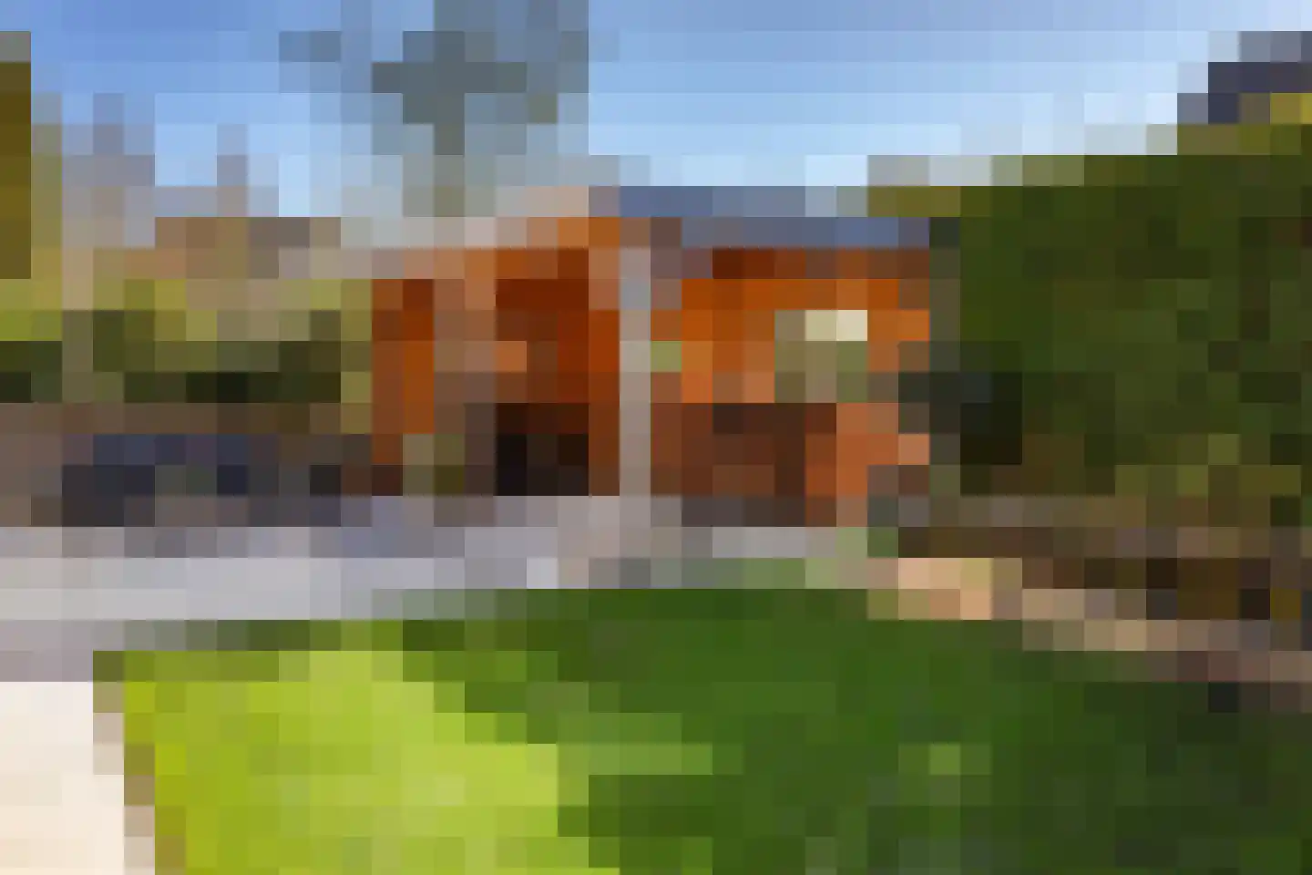Houtduif 10 Blokker thumbnail 38