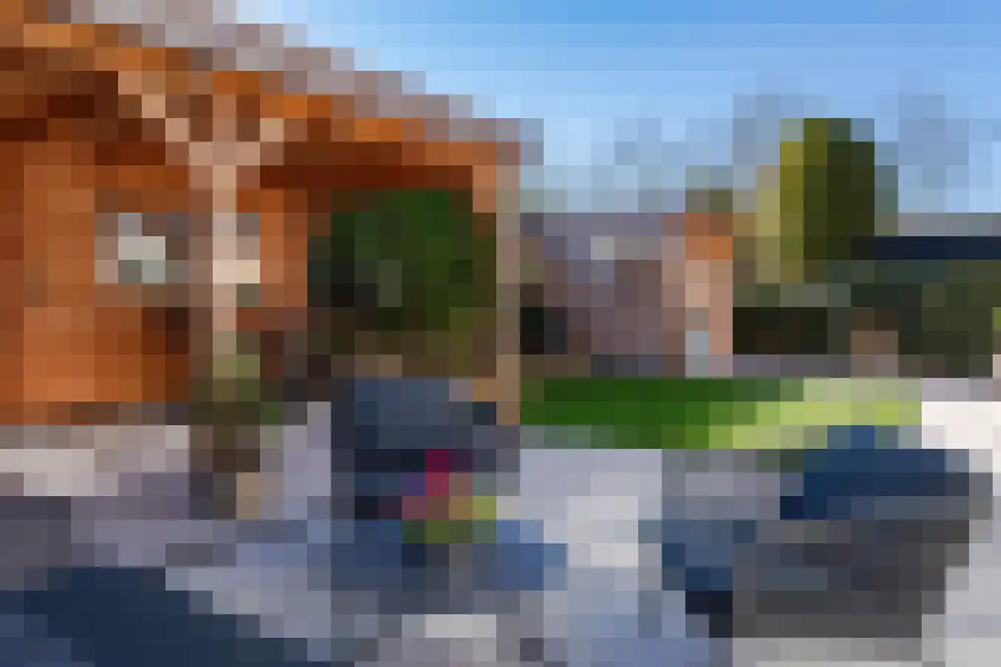 Houtduif 10 Blokker thumbnail 39