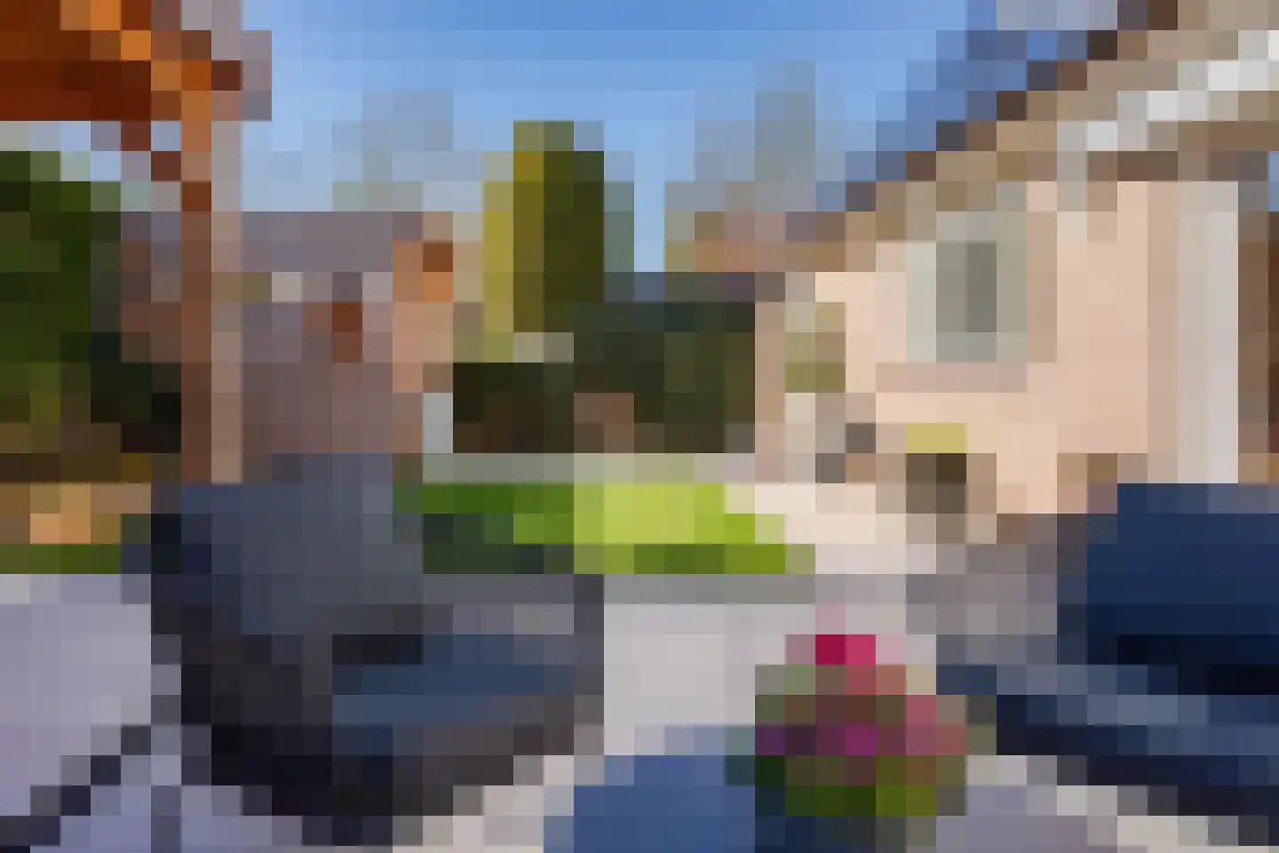 Houtduif 10 Blokker thumbnail 40
