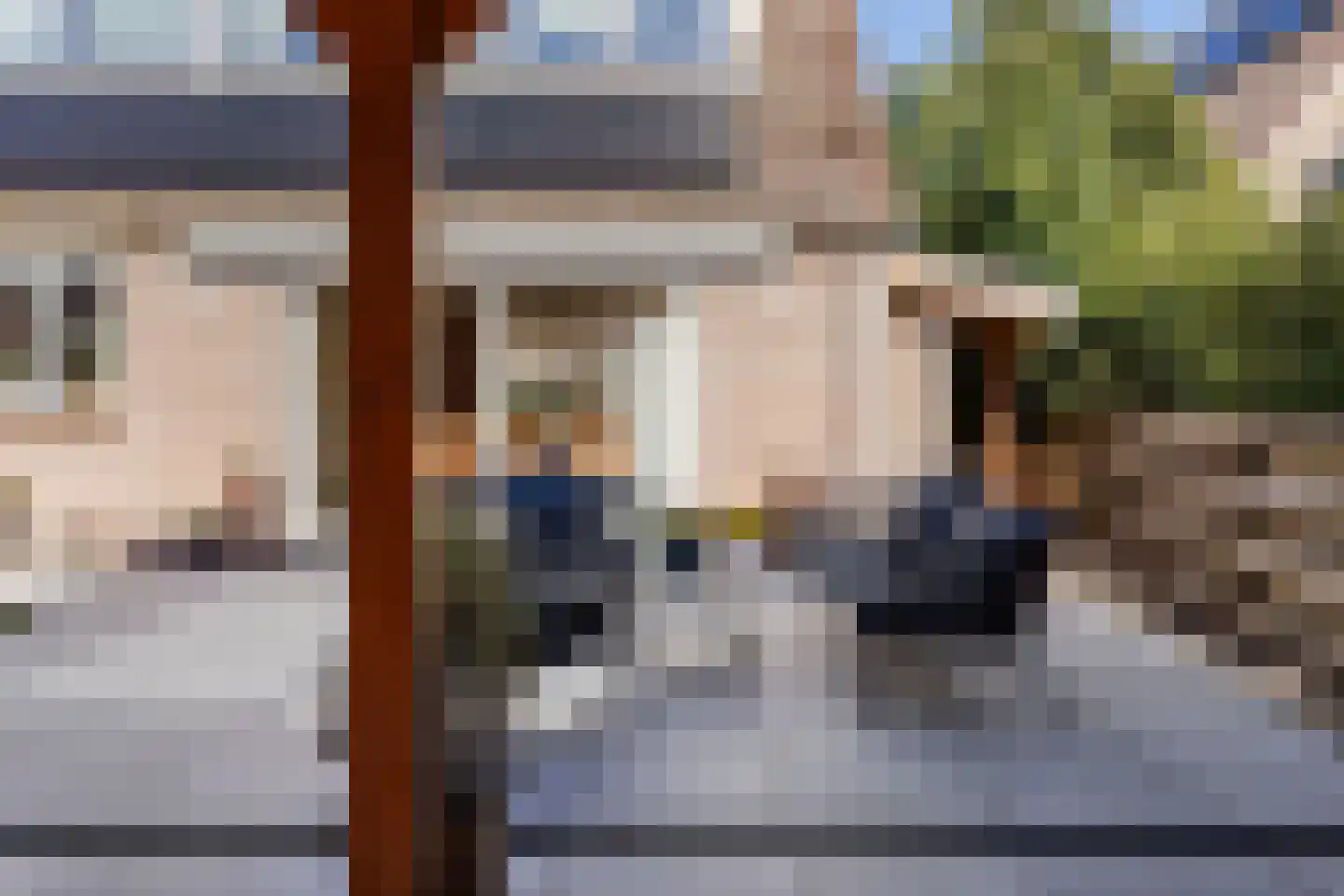 Houtduif 10 Blokker thumbnail 43