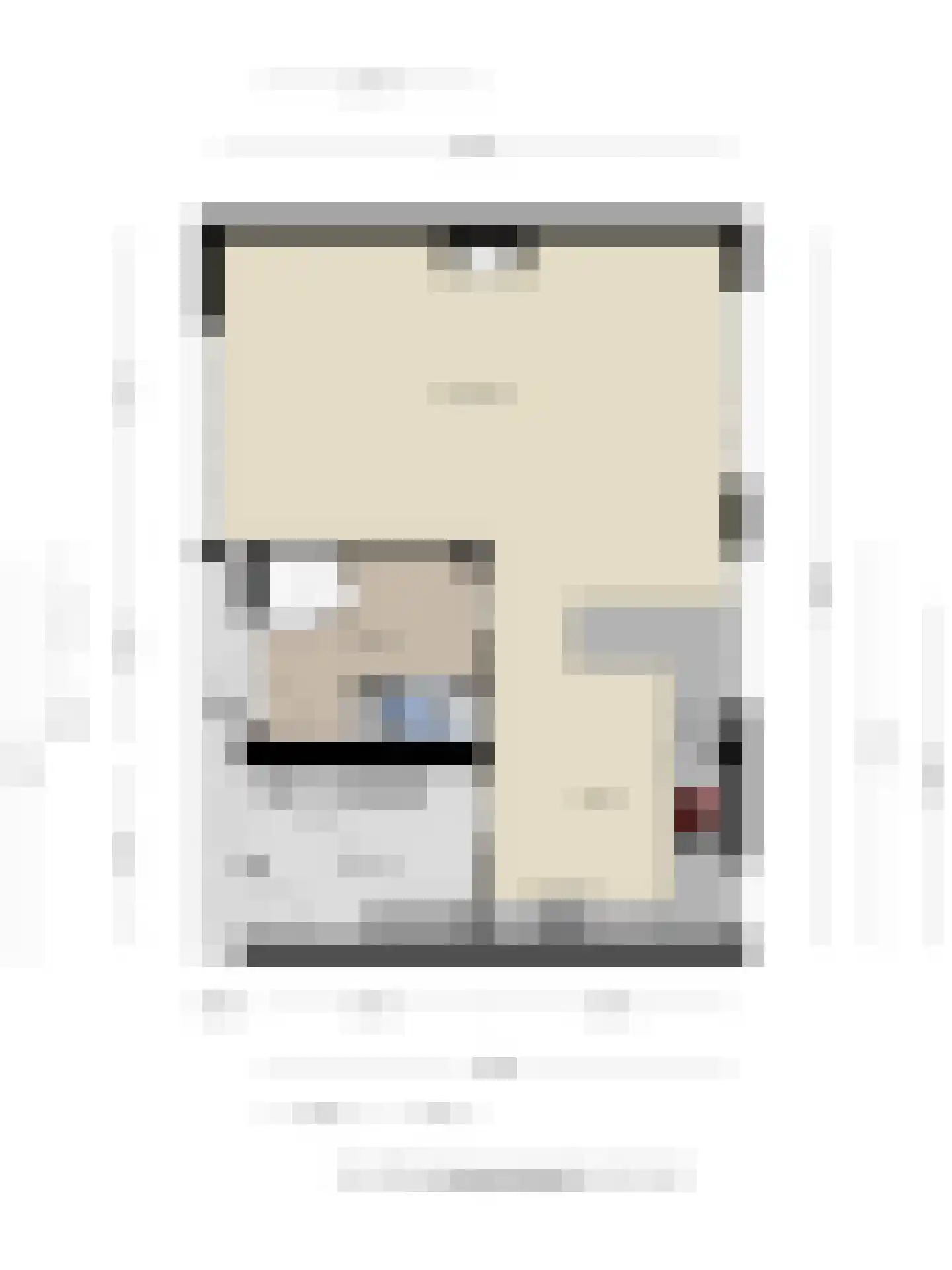 Houtduif 10 Blokker thumbnail 46