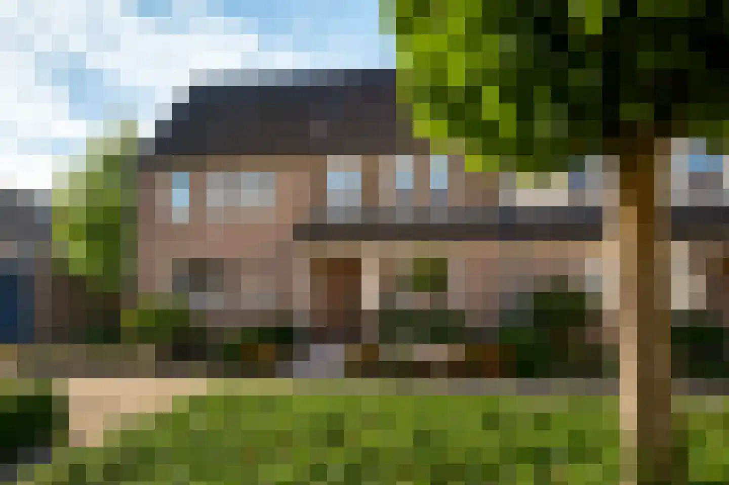 Houtduif 10 Weert