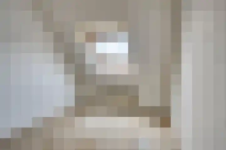 Houtduif 11 Weert thumbnail 17