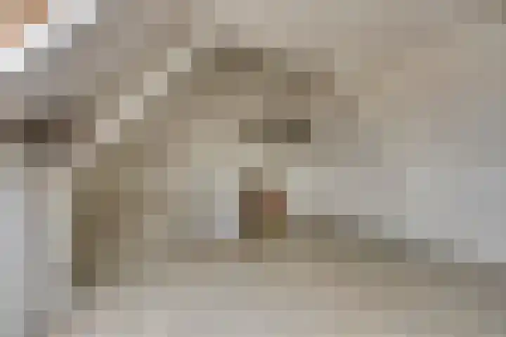 Houtduif 11 Weert thumbnail 22
