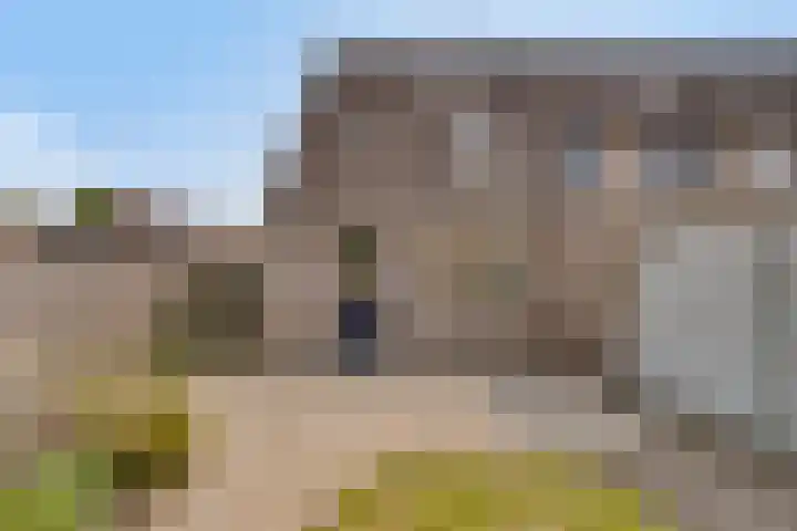 Houtduif 11 Weert thumbnail 23
