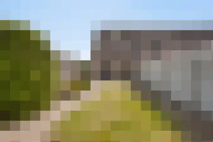 Houtduif 11 Weert thumbnail 24