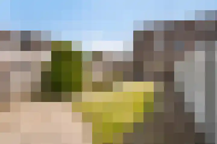 Houtduif 11 Weert thumbnail 25
