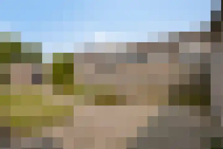 Houtduif 11 Weert thumbnail 26