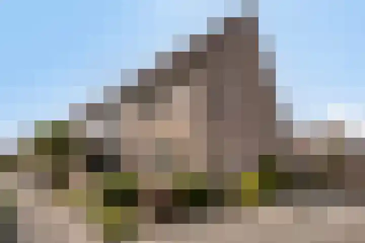 Houtduif 11 Weert thumbnail 31