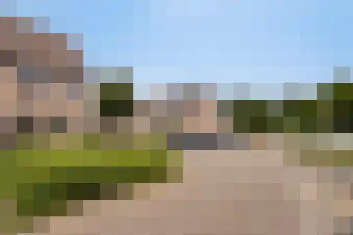 Houtduif 11 Weert thumbnail 32