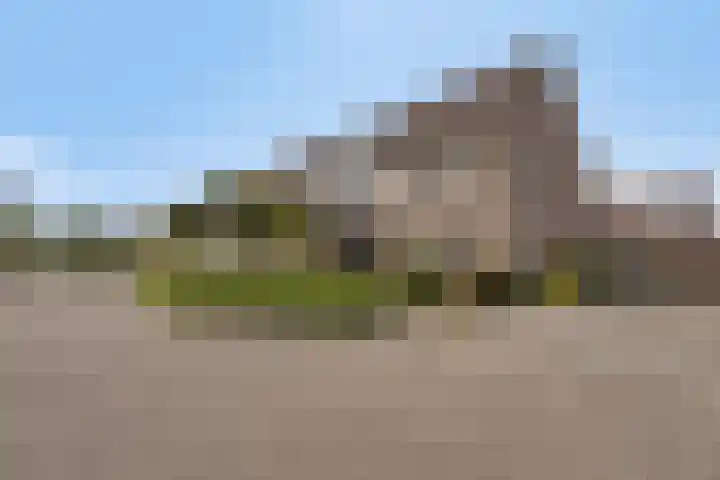 Houtduif 11 Weert thumbnail 33