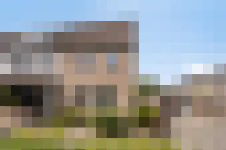 Houtduif 11 Weert thumbnail 39