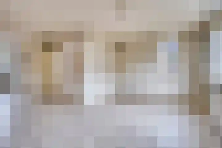Houtduif 11 Weert thumbnail 5