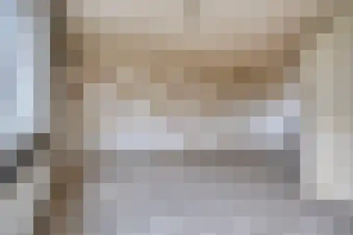Houtduif 11 Weert thumbnail 6
