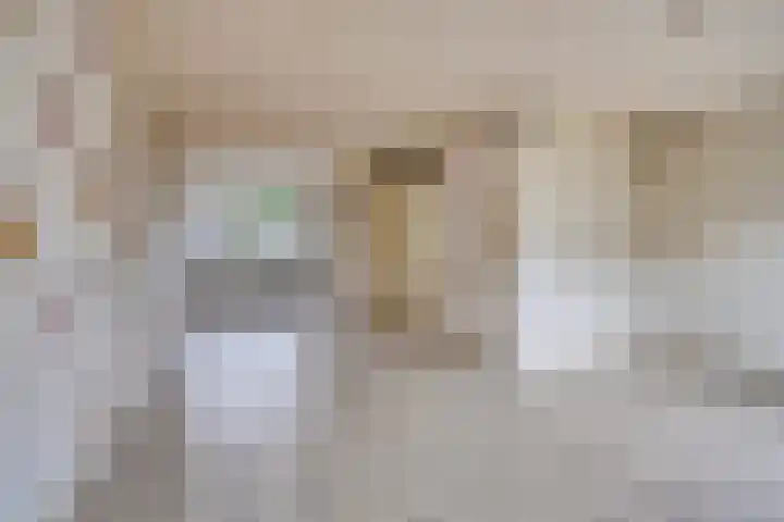 Houtduif 11 Weert thumbnail 7