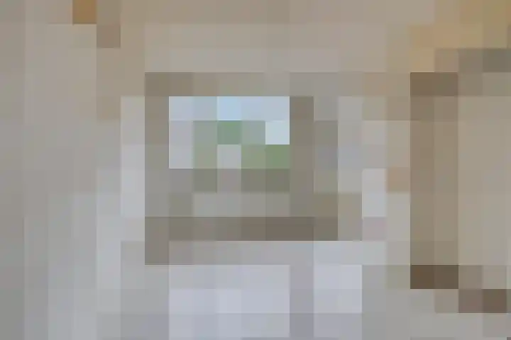 Houtduif 11 Weert thumbnail 8