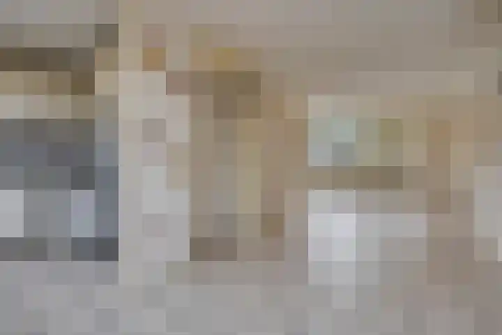 Houtduif 11 Weert thumbnail 9