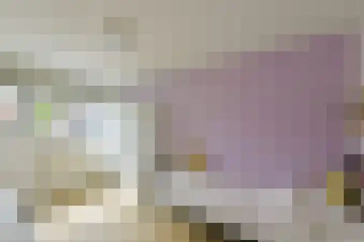 Houtduif 13 Mijdrecht thumbnail 14