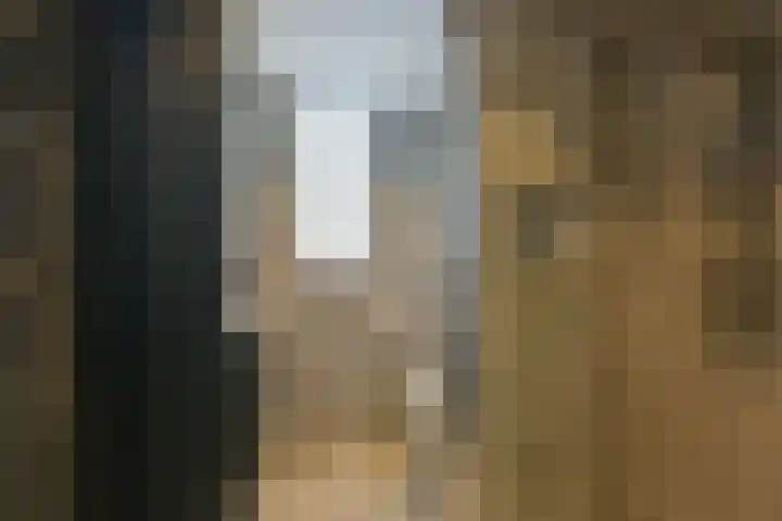 Houtduif 13 Mijdrecht thumbnail 19