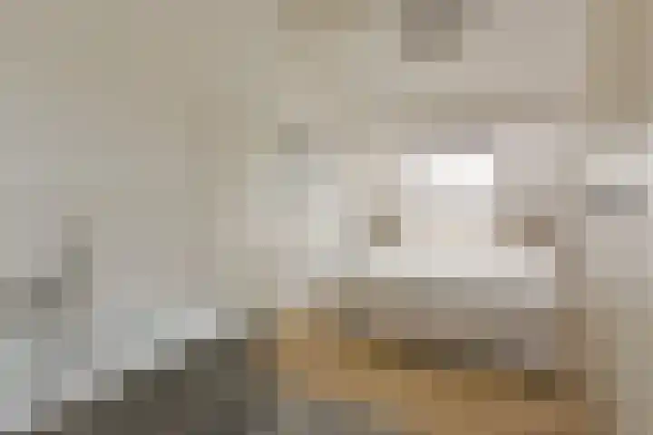 Houtduif 13 Mijdrecht thumbnail 23
