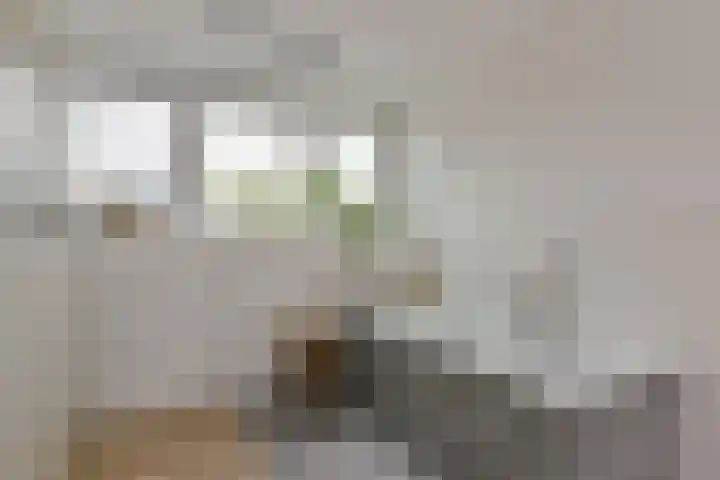 Houtduif 13 Mijdrecht thumbnail 26