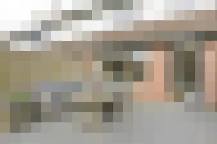 Houtduif 13 Mijdrecht thumbnail 27