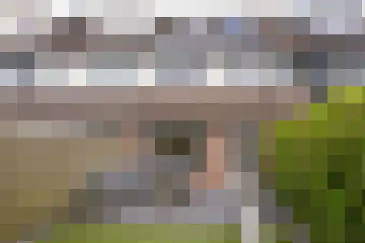 Houtduif 13 Mijdrecht thumbnail 28