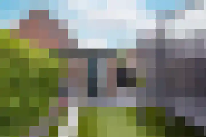 Houtduif 13 Mijdrecht thumbnail 29