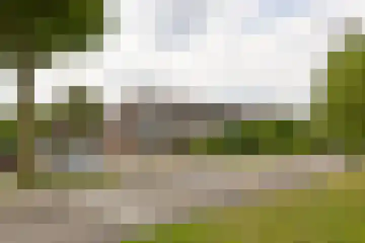 Houtduif 13 Mijdrecht thumbnail 32