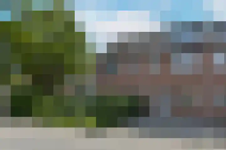 Houtduif 13 Mijdrecht thumbnail 33