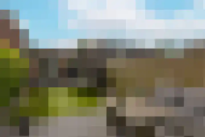 Houtduif 13 Mijdrecht thumbnail 4