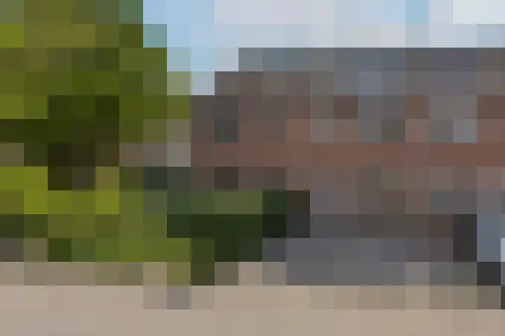 Houtduif 13 Mijdrecht thumbnail 42