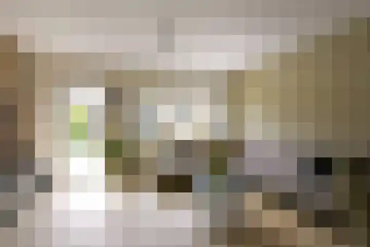 Houtduif 13 Mijdrecht thumbnail 6