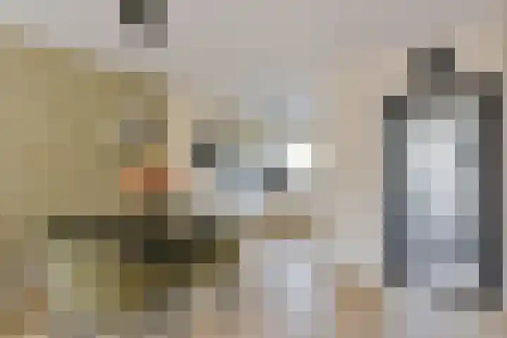 Houtduif 13 Mijdrecht thumbnail 8