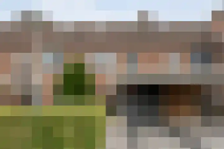 Houtduif 15 Ommen