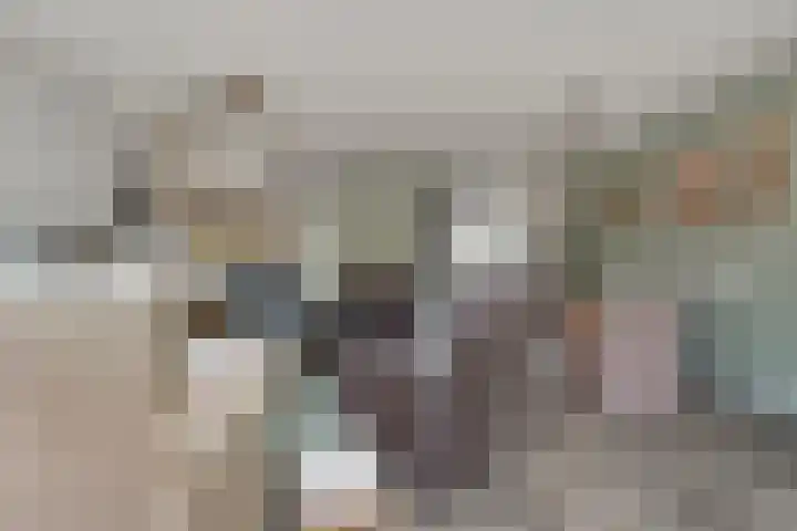 Houtduif 15 Ommen thumbnail 12