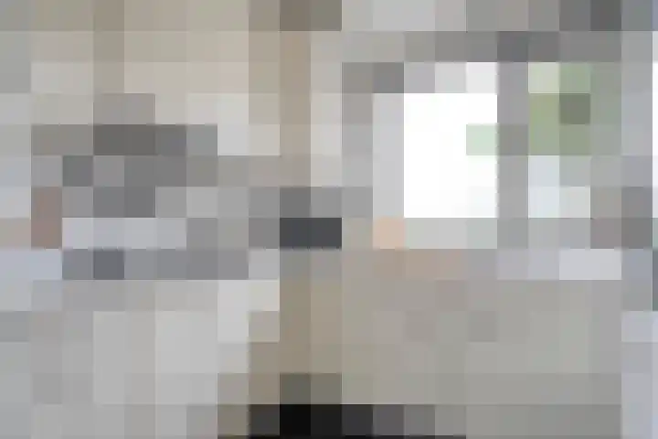 Houtduif 15 Ommen thumbnail 13