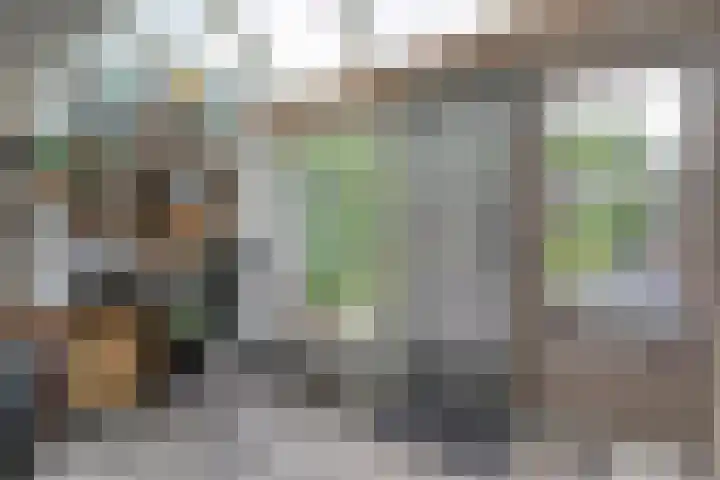 Houtduif 15 Ommen thumbnail 16