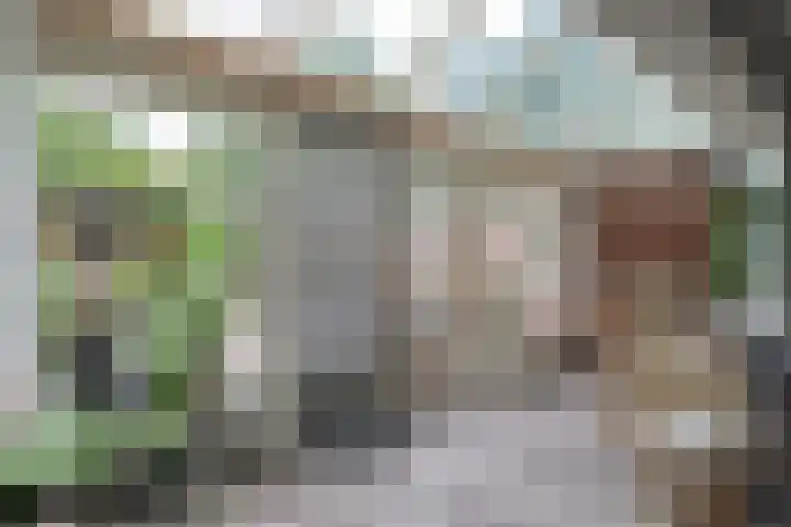 Houtduif 15 Ommen thumbnail 17