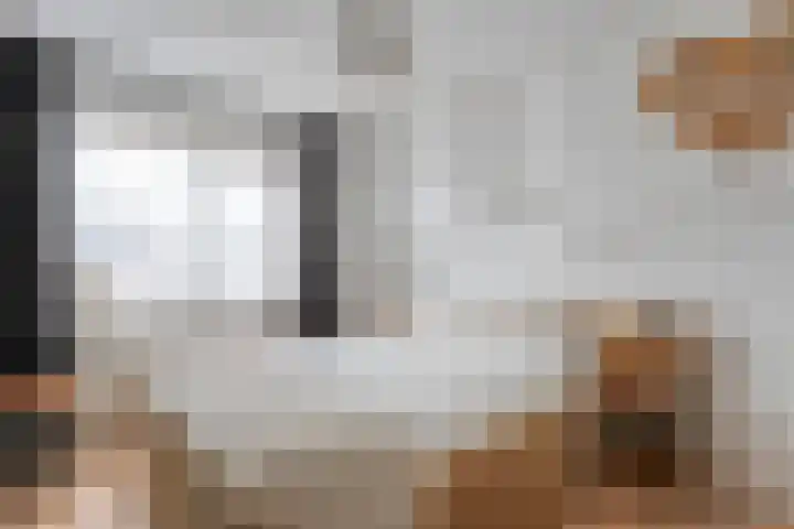 Houtduif 15 Ommen thumbnail 18