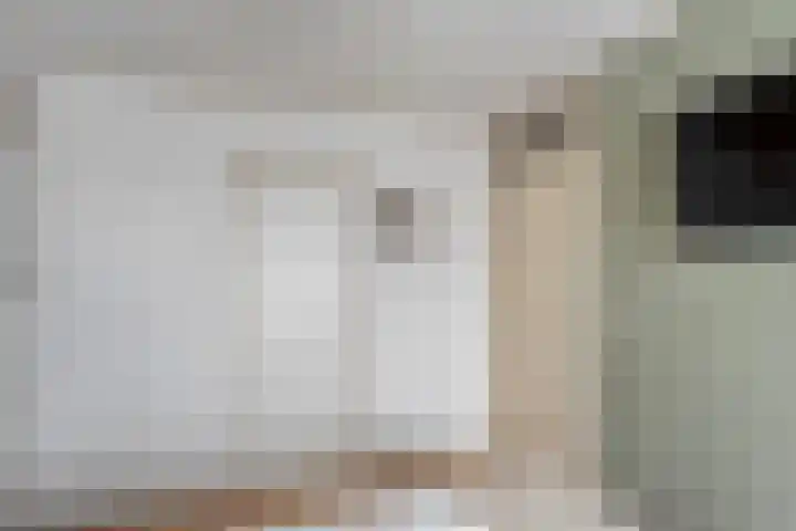 Houtduif 15 Ommen thumbnail 19
