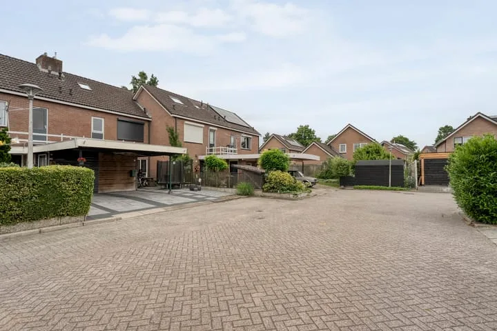 Houtduif 15 Ommen foto 2